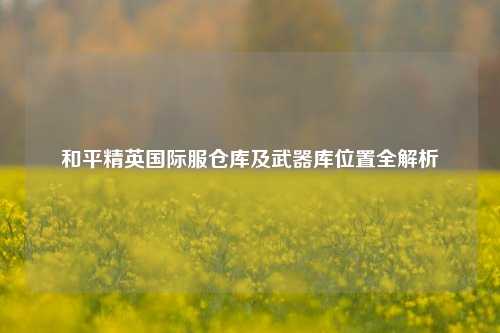 和平精英国际服仓库及武器库位置全解析