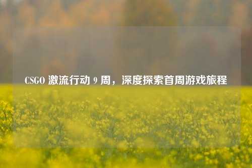 CSGO 激流行动 9 周,深度探索首周游戏旅程