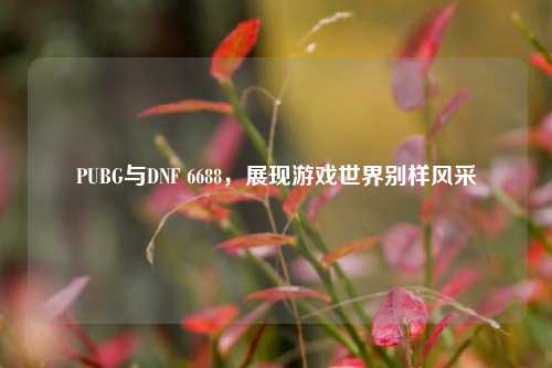 PUBG与DNF 6688，展现游戏世界别样风采