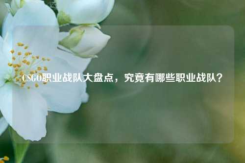 CSGO职业战队大盘点,究竟有哪些职业战队?