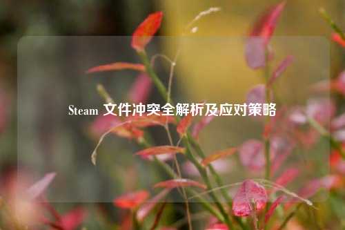 Steam 文件冲突全解析及应对策略