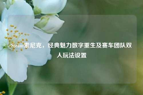 Steam索尼克,经典魅力数字重生及赛车团队双人玩法设置