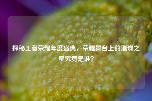 探秘王者荣耀年度盛典,荣耀舞台上的璀璨之星究竟是谁?