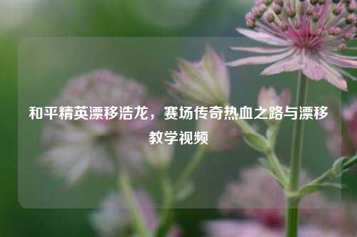 和平精英漂移浩龙,赛场传奇热血之路与漂移教学视频