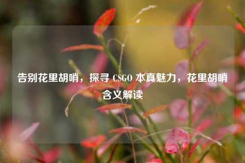 告别花里胡哨,探寻 CSGO 本真魅力,花里胡哨含义解读