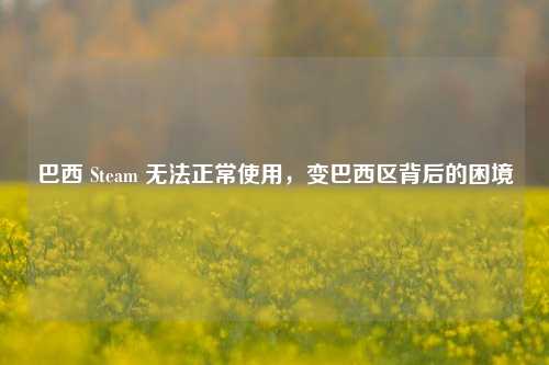 巴西 Steam 无法正常使用,变巴西区背后的困境