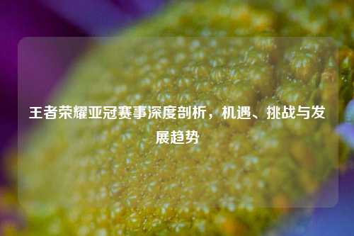 王者荣耀亚冠赛事深度剖析,机遇、挑战与发展趋势