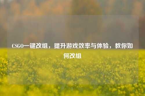 CSGO一键改组,提升游戏效率与体验,教你如何改组