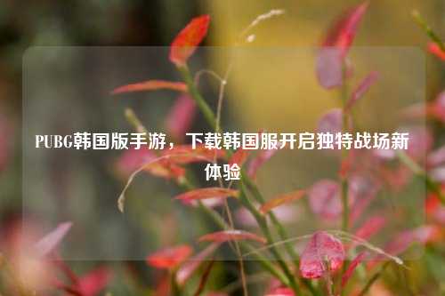 PUBG韩国版手游,下载韩国服开启独特战场新体验