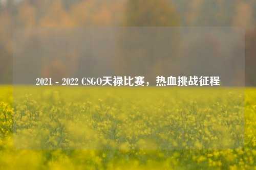 2021 - 2022 CSGO天禄比赛，热血挑战征程