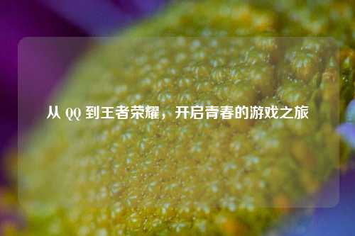 从       到王者荣耀，开启青春的游戏之旅