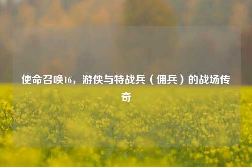 使命召唤16，游侠与特战兵（佣兵）的战场传奇