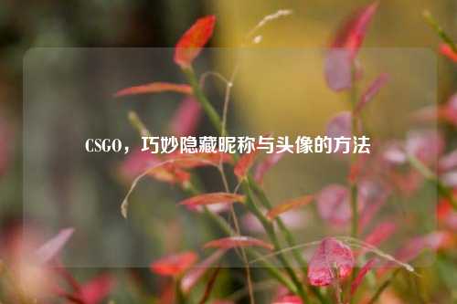 CSGO，巧妙隐藏昵称与头像的方法