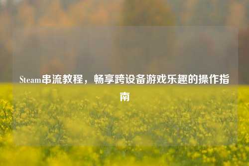 Steam串流教程，畅享跨设备游戏乐趣的操作指南