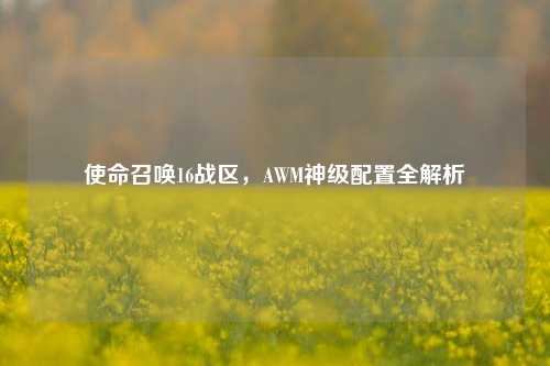 使命召唤16战区，AWM神级配置全解析