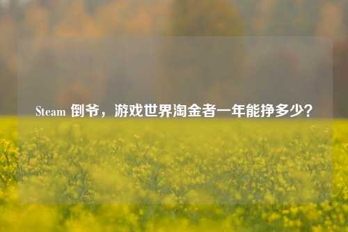 Steam 倒爷，游戏世界淘金者一年能挣多少？